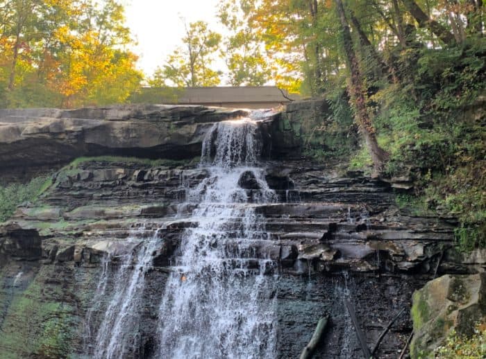 Water flowing down over rocks with green and orange trees surrounding it.