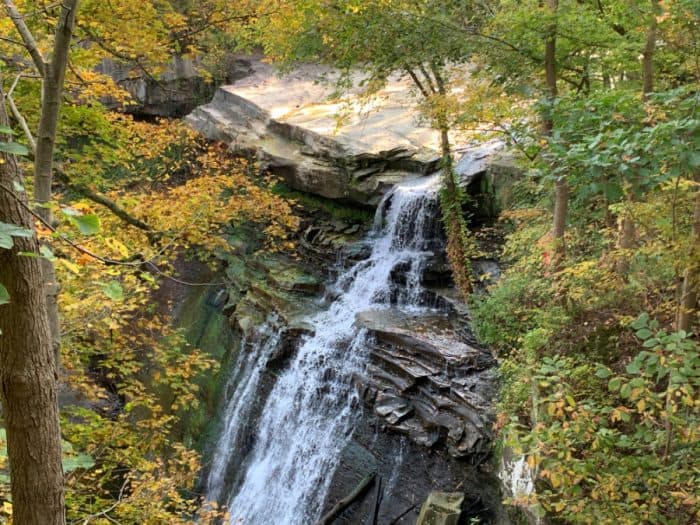 Top view of water flowing down over rocks with green and orange trees surrounding it.