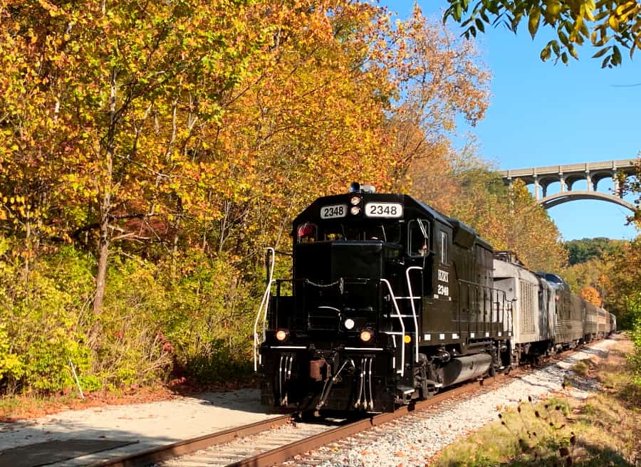 Train cars approaching surrounded by trees changing color in the fall